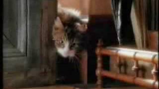 Whiskas old commercial [upl. by Lyndy69]