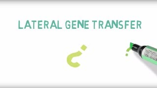 Horizontal Gene Transfer LGT 10 [upl. by Heimlich]