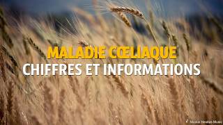 Maladie cœliaque chiffres et informations [upl. by Felix94]