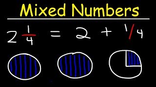 Mixed Numbers [upl. by Ertnom]