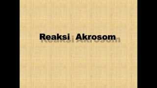 Reaksi Akrosom by Klinik Andrologi dr Anton Darsono Wongso SpAnd [upl. by Sigismund]