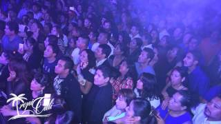 Alberto Pedraza Pajaro Cenzontle en vivo desde Leonardos Night Club Tour 2017 [upl. by Nylaret]