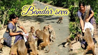 10 April ki Bandar Seva Gujiyan cheen li milkar ke Bandaron ne viralvideo viralmonkey kids [upl. by Akehsat]