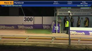 Mandurah08112024Race1 [upl. by Sipple52]