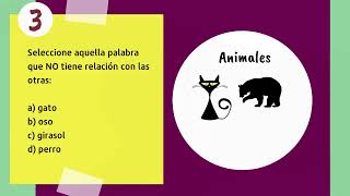 Prepárate para las Pruebas Transformar Razonamiento Verbal 4  Categorización de palabras [upl. by Anaira176]