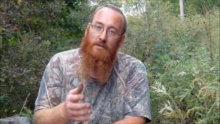 Episode 75 Wild Medicinal Plants Common Ragweed [upl. by Elvia]