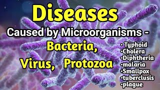 Diseases caused by microorganisms Bacterial diseaseViral diseases ProtozoaClass 10 disease [upl. by Nidak]