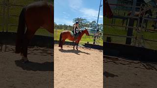 Missy and Sammi equestrian fypシ゚viral onedirection eq [upl. by Ahs961]