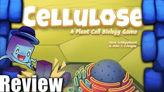 Cellulose A Plant Cell Biology Game Review with Tom Vasel [upl. by Atihana]