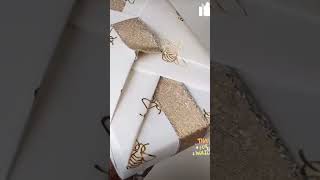 Gift wrapping ideasgiftwrapping diy artandcrafts creative creativity [upl. by Laine]