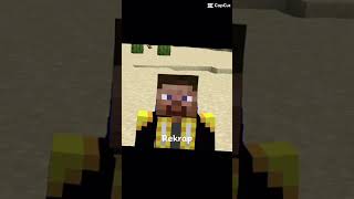 Peak duo of Rek and Parrot lifestealsmp minecraft smp credit to parrotx2 and Rekrap for footage [upl. by Suhpoelc553]