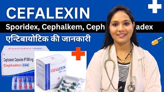 Cephalexin Capsule किस काम आता है  Sporidex Cephadex Cephaxin Cephalkem  Antibiotic [upl. by Acimad]