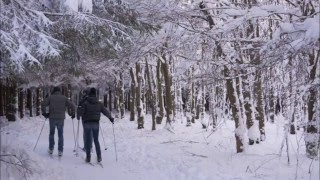 Sneeuw 19 januari 2016 [upl. by Akenal]