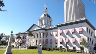 Florida Historic Capitol Museum in Tallahassee Florida [upl. by Stav518]