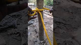 quick release knot [upl. by Alonzo]