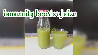 इम्यूनिटी बूस्टर आंवला ज्यूसhow to store Amla juicewinter special Amla juiceIndian gooseberry l [upl. by Hermon567]