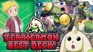 1st Place Locals Terriermon  Rapidmon Deck Digimon TCG BT15 Format [upl. by Rebm209]