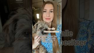 Für Infos auf insta schreiben rebeccastv nebenjob geldverdieneniminternet hundeliebe doglove [upl. by Ordnasela]