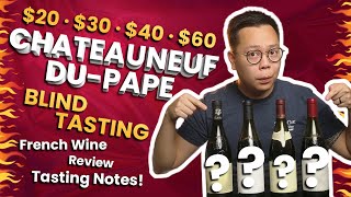 Châteauneuf Du Pape  Kirkland Costco Wine Again  Wine Verdict [upl. by Eimilb4]