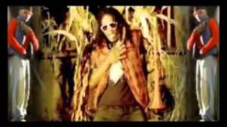 Radio and Weasel  Heart Attack Vuvuzela [upl. by Eniotna]