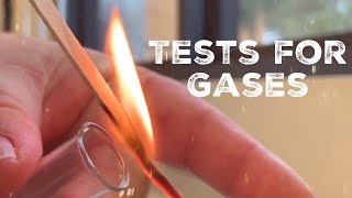 GCSE Science Chemistry 91  Tests for Gases [upl. by Dnalel706]