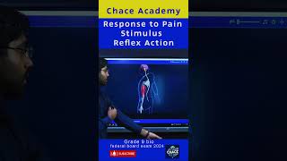 Response to Pain Stimulus  Reflex Action education ncp [upl. by Lad]