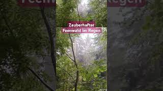 Hilft gegen Traurigkeit Regen im Feenwald [upl. by Nyrual]