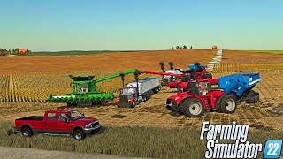 CORN HARVEST ON A BIG TIME FARM ST EDWARD NEBRASKA  FARMING SIMULATOR 22 [upl. by Sherris]