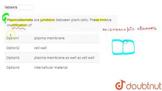 Plasmodesmata are junctions between plant cells These involve modification of [upl. by Wojak830]