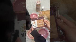 Oops a little frosty 🦌❄️ catfood catfeeding feedmycats catasmr feedmycat [upl. by Spence720]