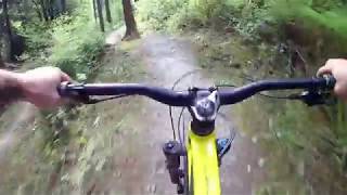 Mountain Biking in Lanhydrock Cornwall UK [upl. by Neelrac625]