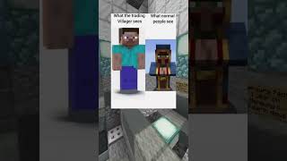 Funny Minecraft Memes [upl. by Eidnac]