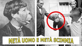 UNA CREATURA METÀ UOMO E METÀ SCIMMIA È STATA CREATA IN LABORATORIO [upl. by Jordanson]