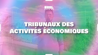 Entreprises en difficulté  mise en place des tribunaux des activités économiques 1er janvier 2025 [upl. by Malena123]