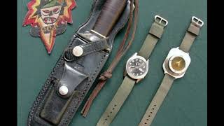 Seikos MACVSOG Wristwatches in Vietnam 19681972 [upl. by Elfie984]