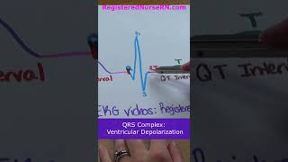 ECG  EKG Waveform Parts Explained in Less Than 1 Minute PQRST Complex shorts [upl. by Nommad859]