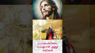 How to do penance Fr Raphson Peter OCD Avila Sadan Karaparambu Edoor [upl. by Haelhsa766]