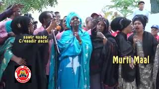 HEES CUSUB OO DAREEN XANUUN BADAN LEH MARYAN MURSAL CIISE OO [upl. by Ahseyt]