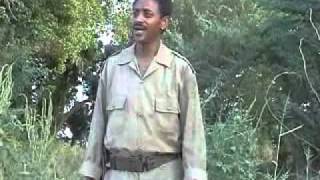 Tesfay mengesha kulu elamana demhit song TPDMflv [upl. by Edgardo]