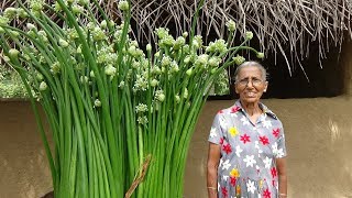 Village Food ❤ Spring Onion flower Recipe by Grandma  Village Life [upl. by Tye]