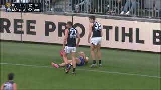 Jacob Weitering amp Lewis Young combine  AFL Round 23 2024  Carlton  West Coast Eagles [upl. by Nnylahs]