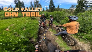 MTB Downieville CA  Lost in Gold Valley [upl. by Dihahs]