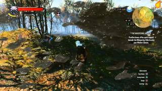 The Witcher 3 The Whispering Hillock  Quest Walkthrough [upl. by Iccir]