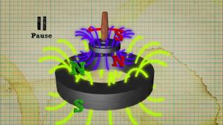 VIDEO Lievitazione magnetica CAMPO MAGNETICO TE LO AVEVO DETTO [upl. by Reldnahc964]