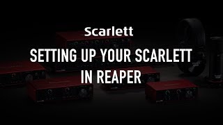 Setting up your Scarlett in Reaper [upl. by Ajim]