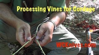 Processing Vines for Cordage [upl. by Arbuckle]