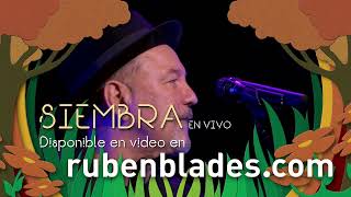 SIEMBRA en VIVO  TRAILER [upl. by Odin]