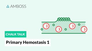 Primary Hemostasis  Part 1 Platelet Adhesion [upl. by Hillell]