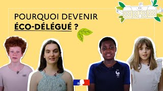 Pourquoi devenir écodélégué [upl. by Ximenez]