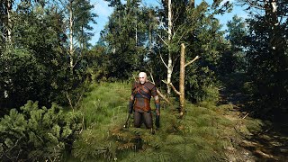 It was hidden in the bushes and I hadnt seen it before  Witcher 3 Next Gen [upl. by Koziara]